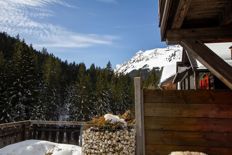 Appartamento alpino incantevole con interni accoglienti e panorama montano mozzafiato (5)
