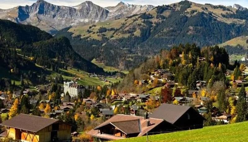 Proprietà in affitto a Gstaad (1)