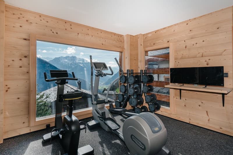 wooden walls, large windows, exercise equipment, dumbbells, television