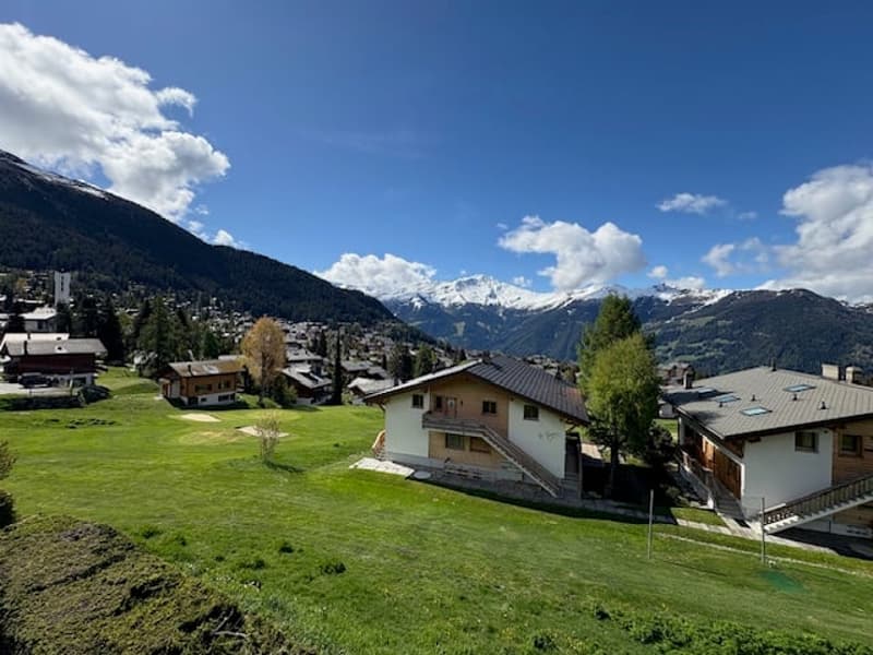 Appartement mansardé 3 chambres sur Les Moulins (9)