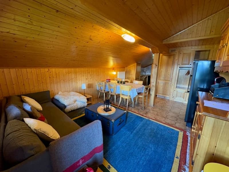 Appartement mansardé 3 chambres sur Les Moulins (1)