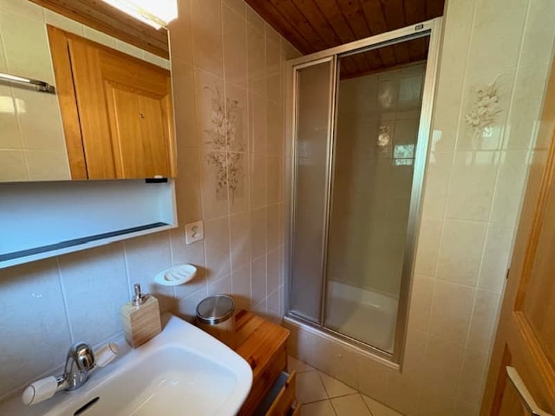 Appartement mansardé 3 chambres sur Les Moulins (8)