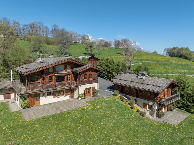 Propriété d'exception de deux chalets indépendants avec studio, face au Mont-Blanc (1)
