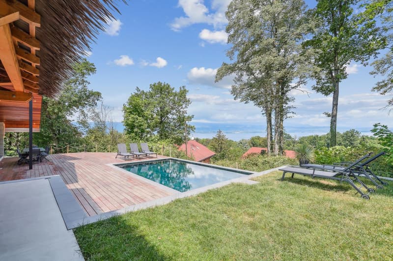Villa moderne avec vue panoramique sur le Lac Léman (2)