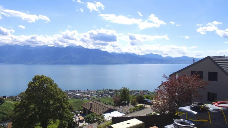 Apartment 4.5 rooms in Lutry (1)