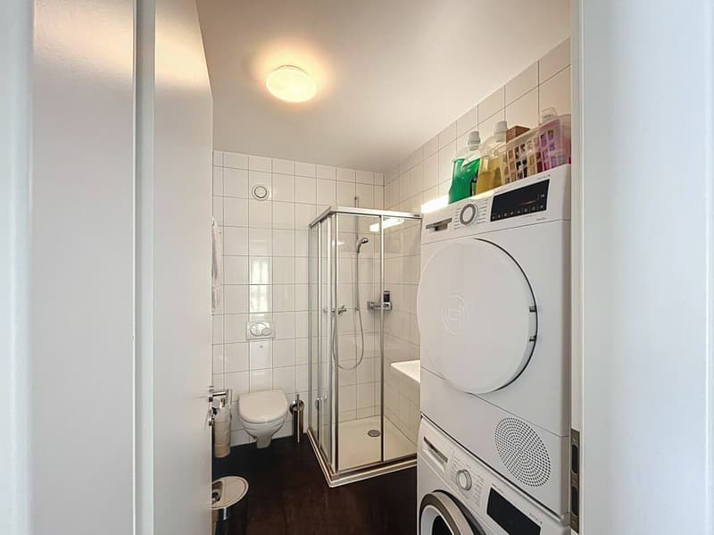 LAUSANNE - Montblesson: Superb 5.5-room garden-level apartment, quiet, MINERGIE. An Immo-Consulting SA exclusive. (10)