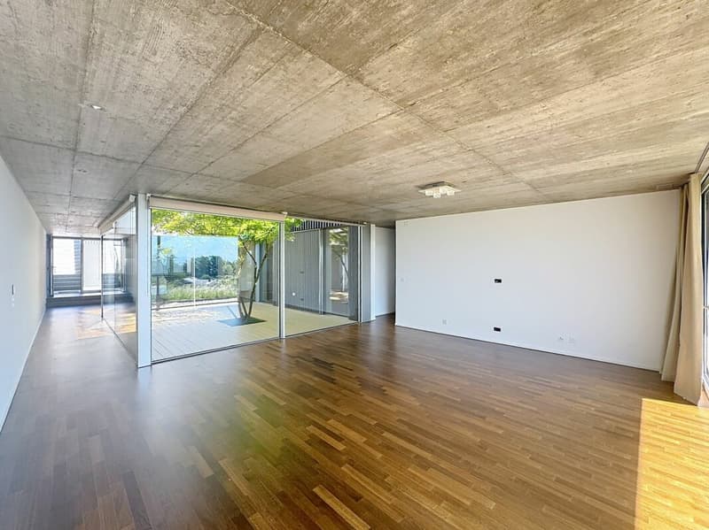 Lutry: Large 6.5-room apartment with breathtaking view (5)