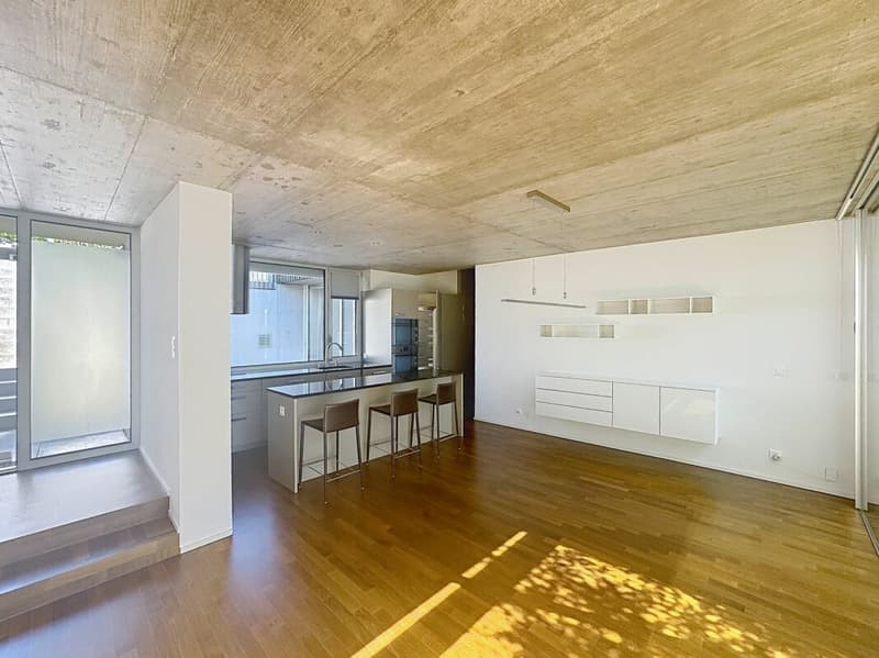 Lutry: Large 6.5-room apartment with breathtaking view (3)