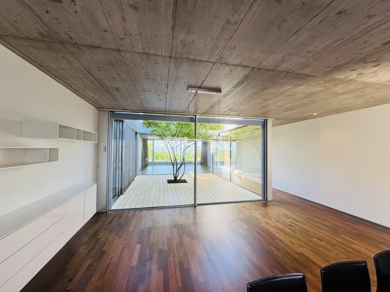 Lutry: Large 6.5-room apartment with breathtaking view (4)