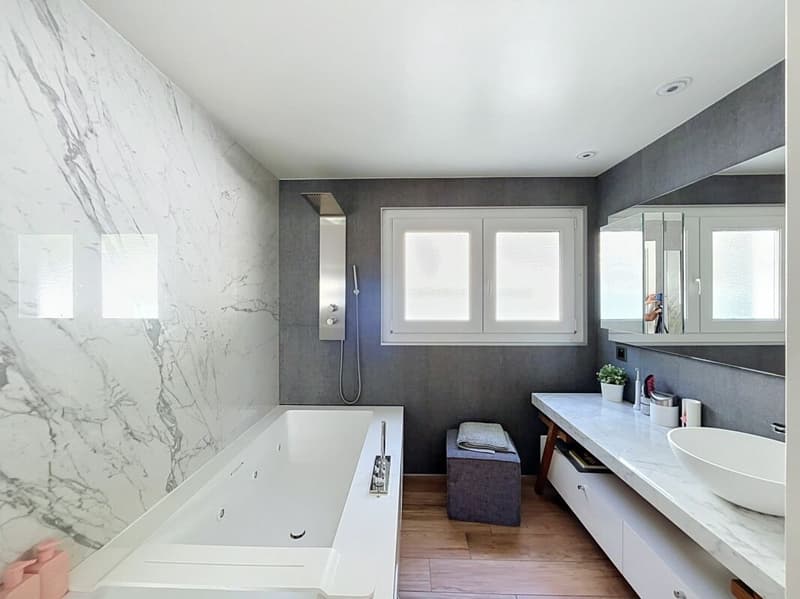 Lutry - Duplex with private pool and lake view (7)