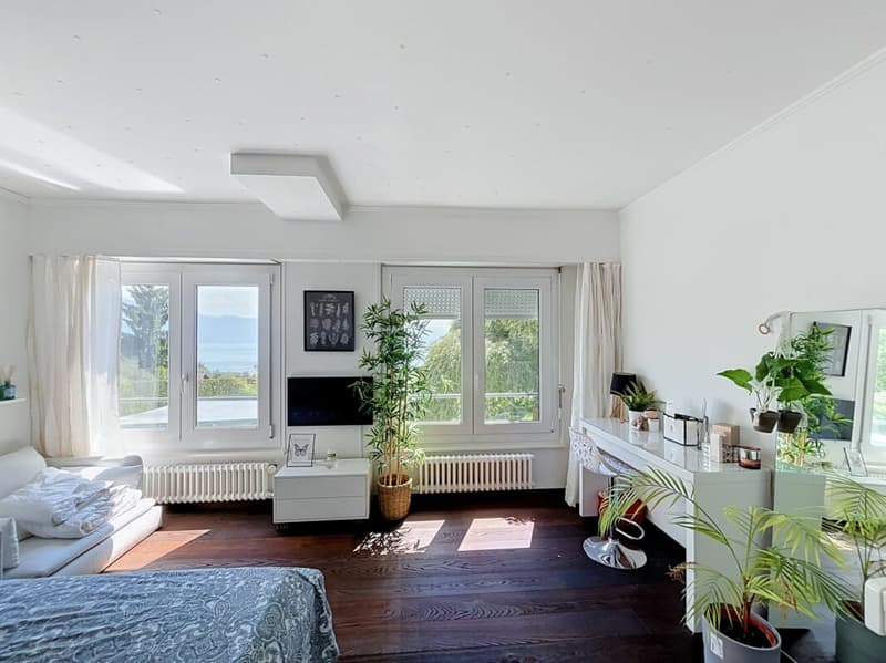 Lutry - Duplex with private pool and lake view (6)