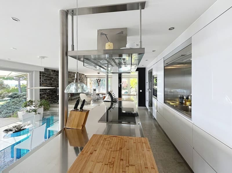 Lutry - Duplex with private pool and lake view (5)