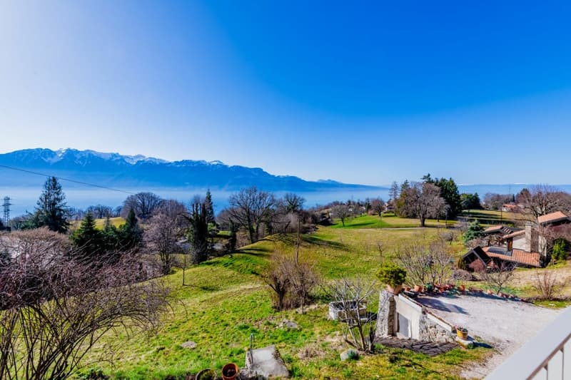 Casa di carattere rinnovata con vista panoramica sul lago e le Alpi (1)