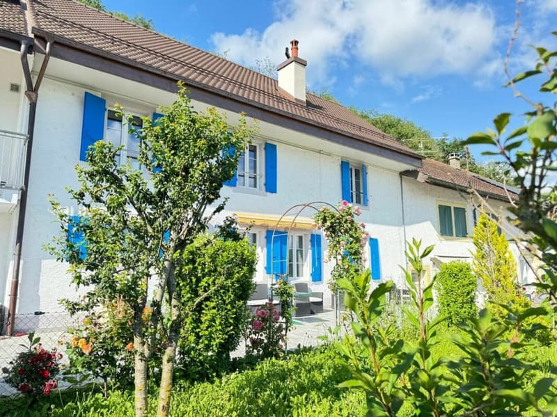 15 MIN FROM LAUSANNE charming and spacious family house (1)