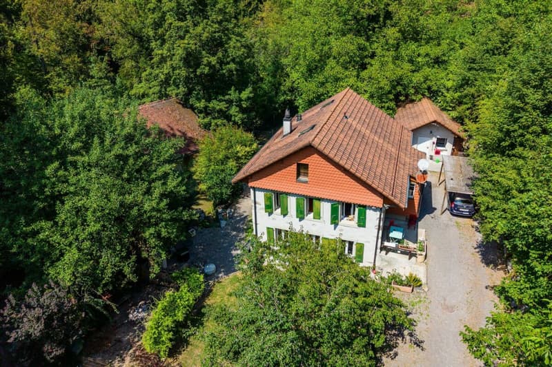 Propriété à vendre, Vucherens (1)