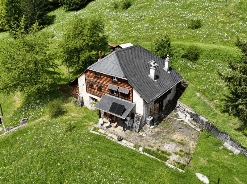 Montreux - Chalet mitoyen au coeur des narcisses (3)