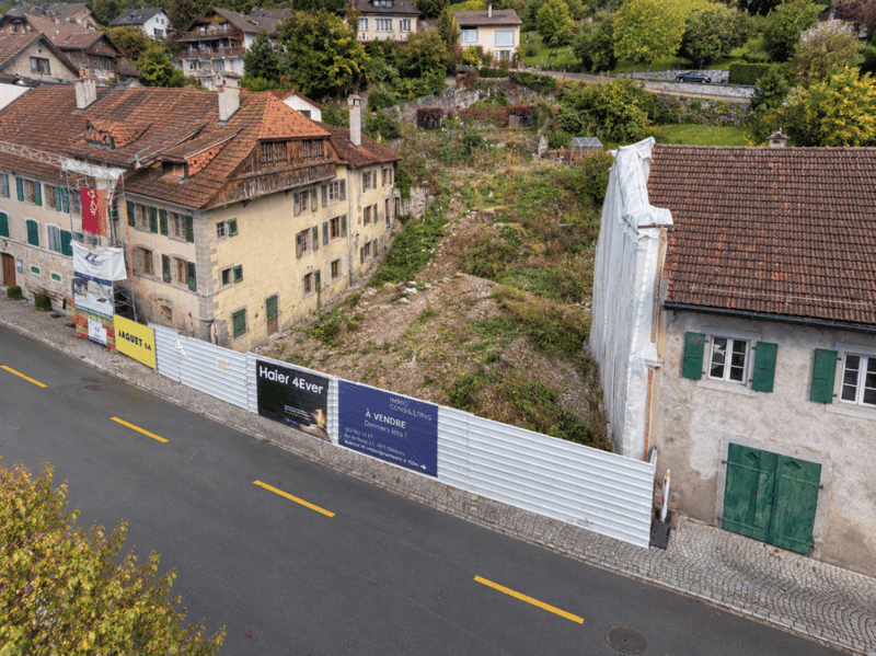 Promotion Feuille de Vigne - Chexbres (1)