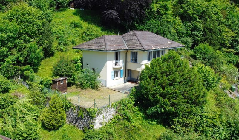 VILLA INDIVIDUALE - VISTA PANORAMICA LAGO E MONTAGNE (2)