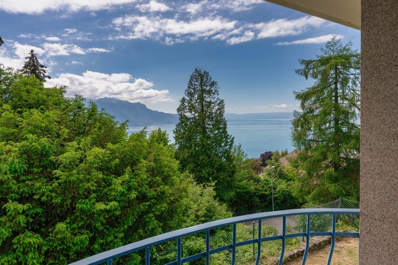 VILLA INDIVIDUALE - VISTA PANORAMICA LAGO E MONTAGNE (7)