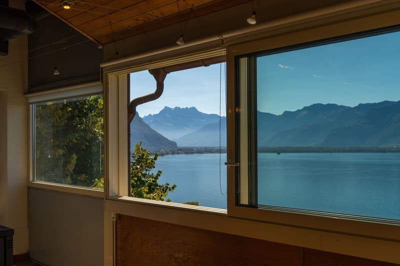 VILLA WITH 3 APARTMENTS - BREATHTAKING LAKE VIEW - RARE PROPERTY - EXCLUSIVITY (3)