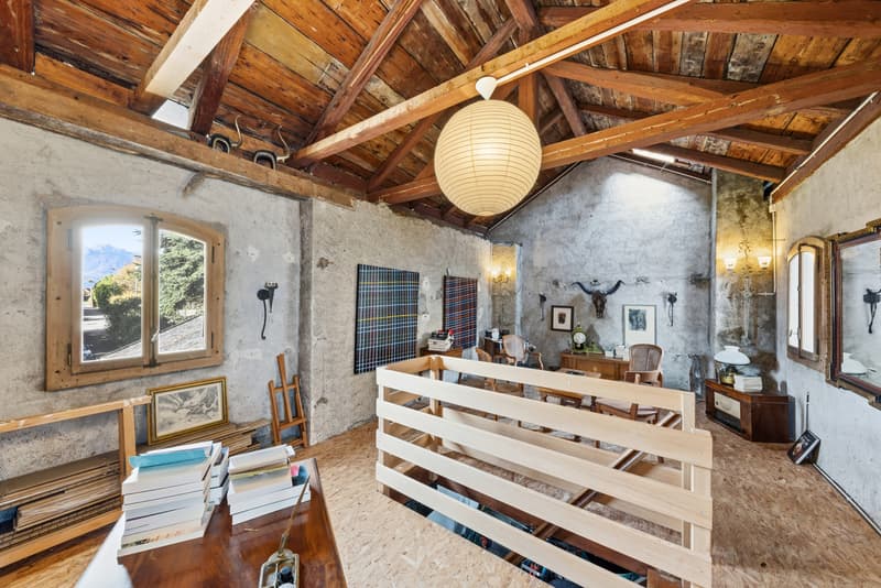 CASA PADRONALE - STUDIO E PARCO - VISTA PANORAMICA (12)