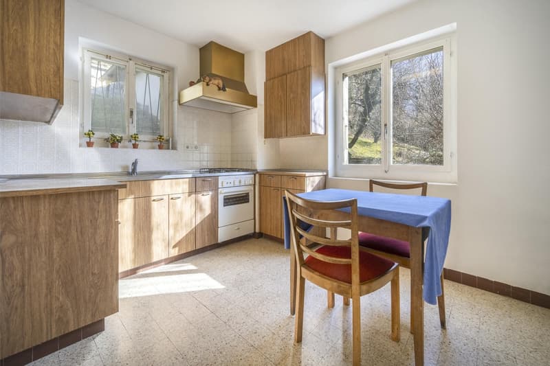 House + Building to Renovate - Quiet and Green - Center - Exclusivity (6)