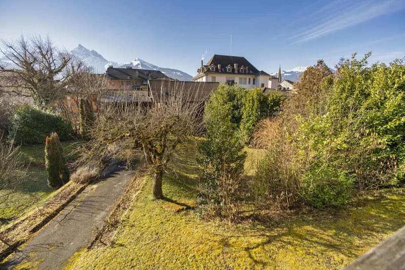 House + Building to Renovate - Quiet and Green - Center - Exclusivity (3)