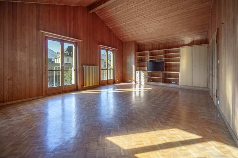 House + Building to Renovate - Quiet and Green - Center - Exclusivity (8)