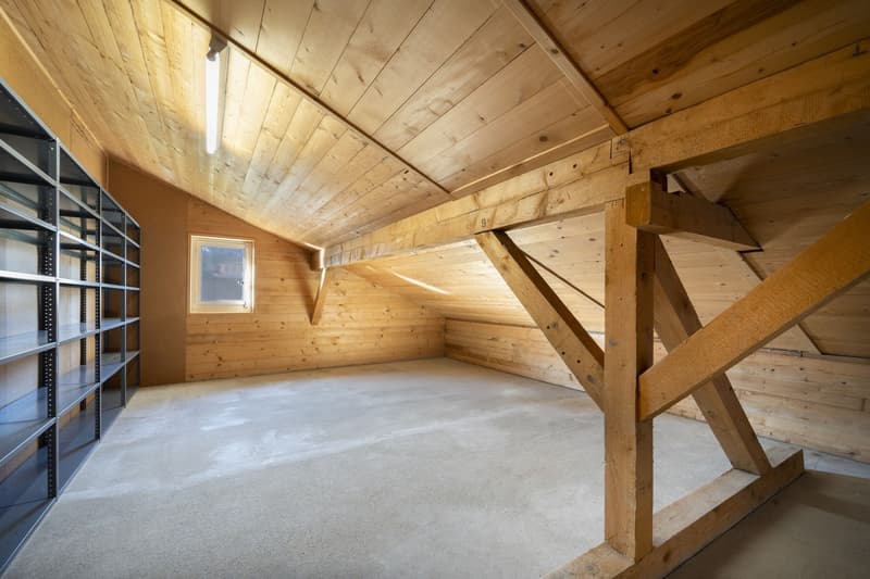 House + Building to Renovate - Quiet and Green - Center - Exclusivity (9)