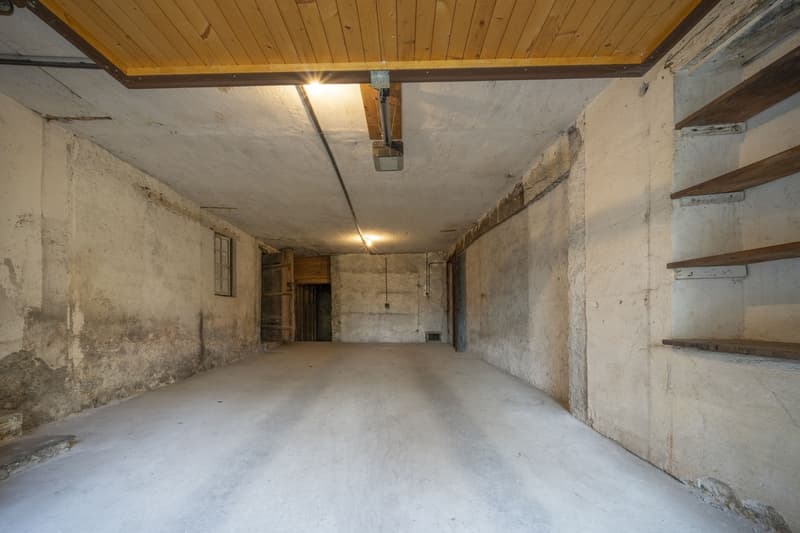 House + Building to Renovate - Quiet and Green - Center - Exclusivity (12)