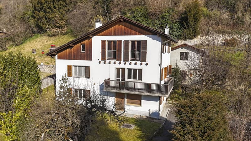 House + Building to Renovate - Quiet and Green - Center - Exclusivity (2)