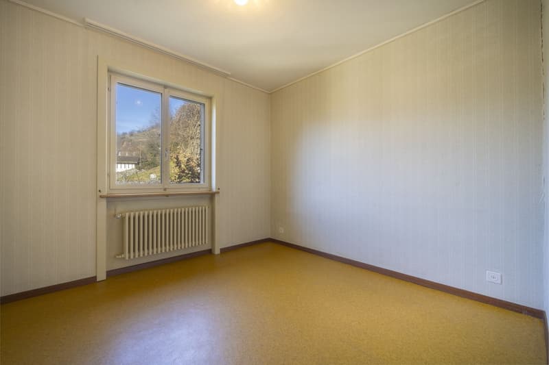 House + Building to Renovate - Quiet and Green - Center - Exclusivity (7)