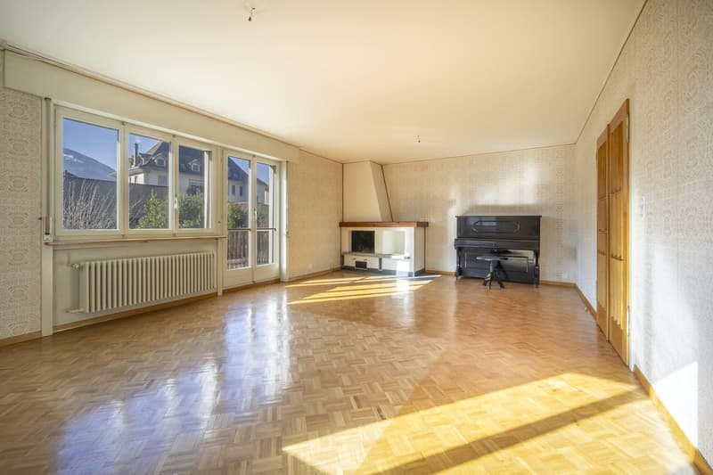 House + Building to Renovate - Quiet and Green - Center - Exclusivity (5)