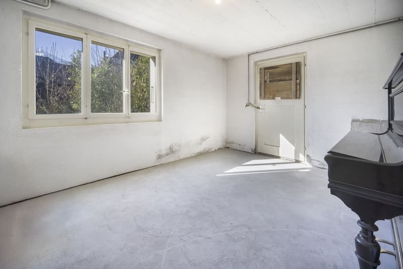 House + Building to Renovate - Quiet and Green - Center - Exclusivity (10)