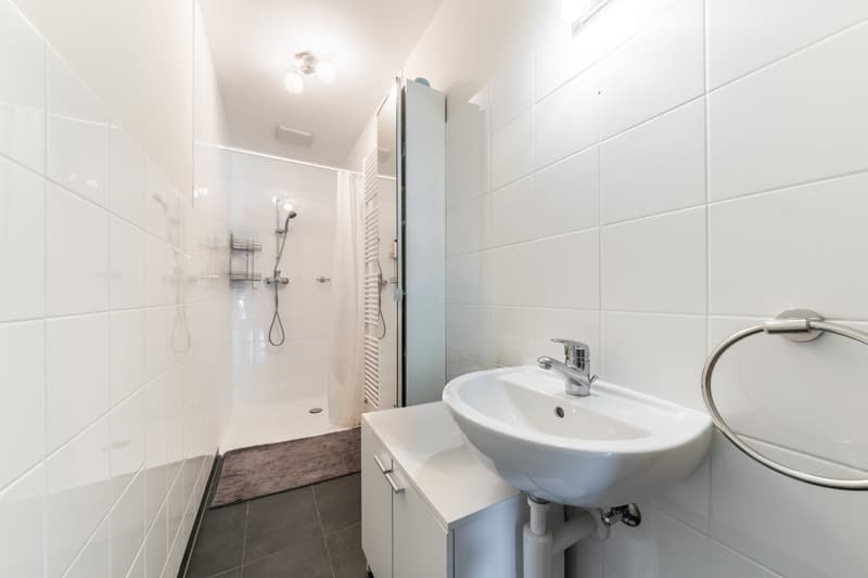 APPARTEMENT RENOVIERT MIT GARTEN - RUHIG GELEGEN - 3-4 PARKPLÄTZE - EXKLUSIVITÄT (8)