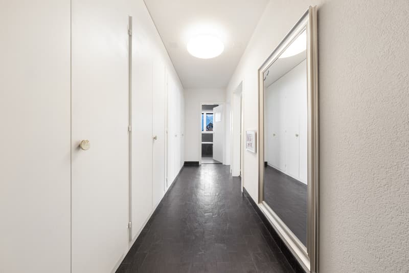APPARTEMENT EN TERRASSE - VUE PANORAMIQUE - SOUS-SOL - EN EXCLUSIVITÉ (11)