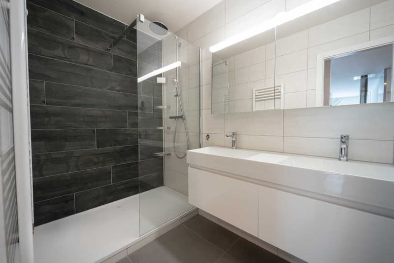 IMMEUBLE COMMERCIAL - FITNESS + APPARTEMENT - EN EXCLUSIVITÉ (13)