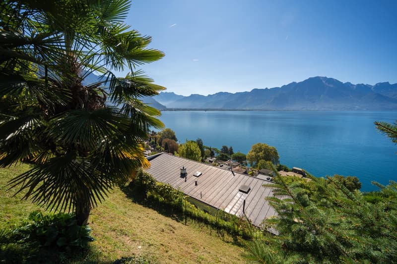 VILLA DE 3 APPARTEMENTS - VUE LAC IMPRENABLE - BIEN RARE - EXCLUSIVITÉ (12)