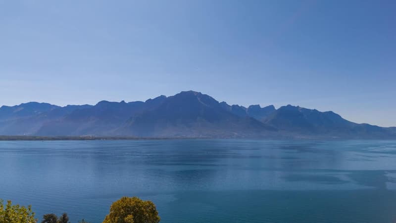 VILLA DE 3 APPARTEMENTS - VUE LAC IMPRENABLE - BIEN RARE - EXCLUSIVITÉ (1)