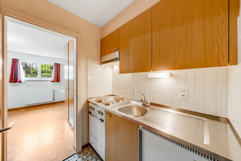 VILLA INDIVIDUELLE + STUDIO - 3 GARAGES - EN EXCLUSIVITÉ (6)