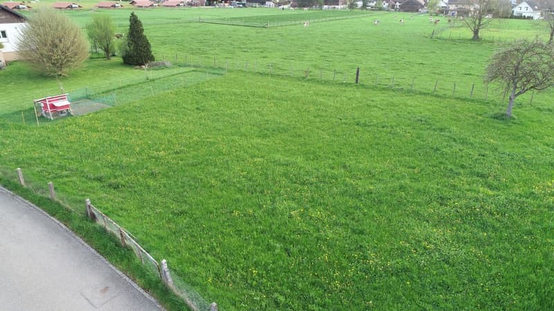 Magnificent flat land for sale in a quiet location near nature (2)