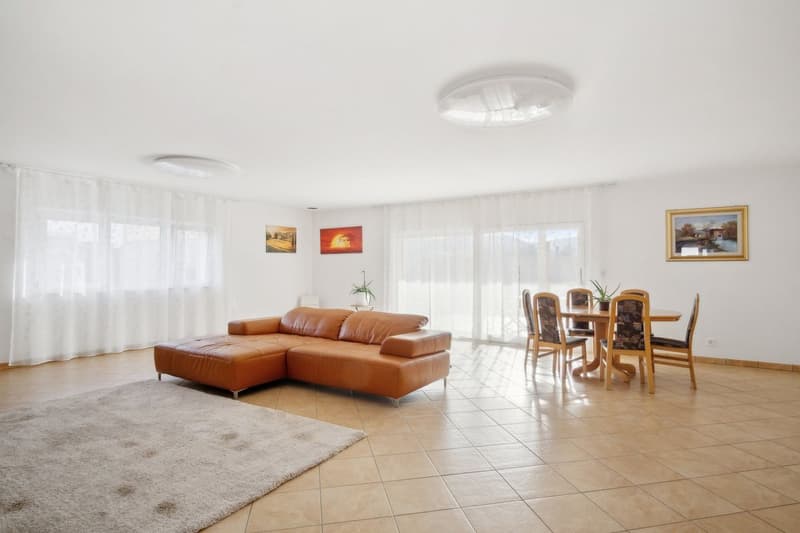 Large modern villa for sale in Bassecourt (4)