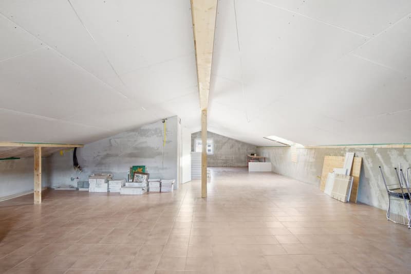 Large modern villa for sale in Bassecourt (8)