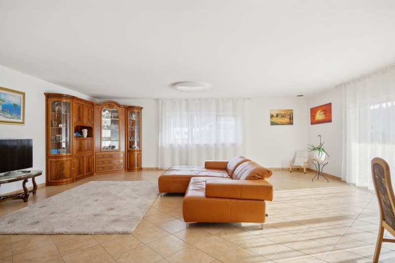 Large modern villa for sale in Bassecourt (5)