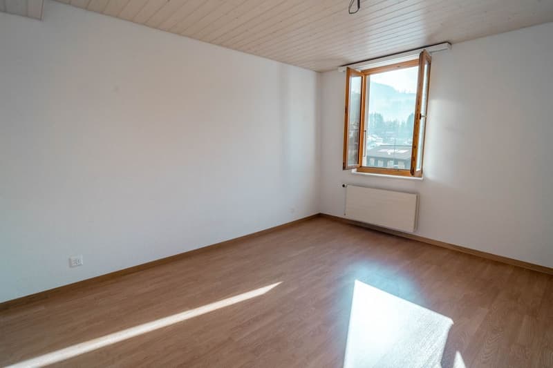 Grande maison avec 3 appartements - Surface habitable exceptionnelle! (9)