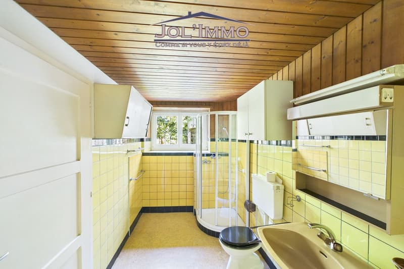 Belle maison individuelle - Buix (6)