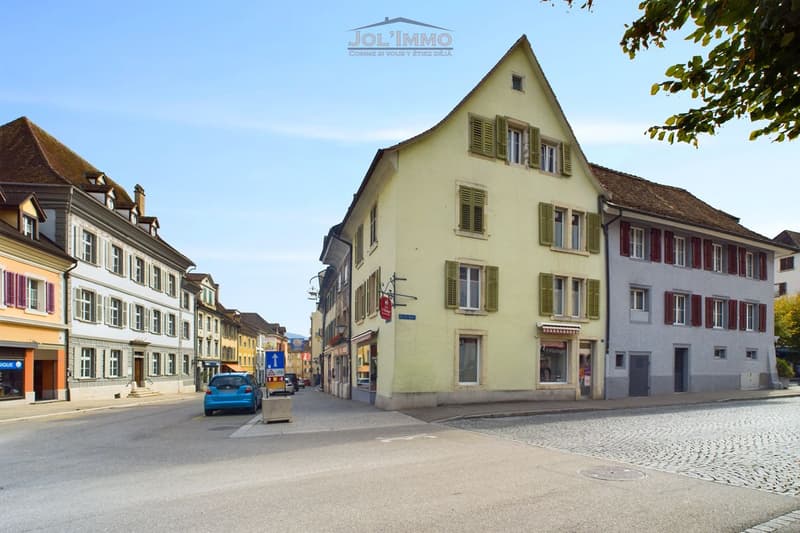 Magnifique et grand immeuble avec un local commercial (4)