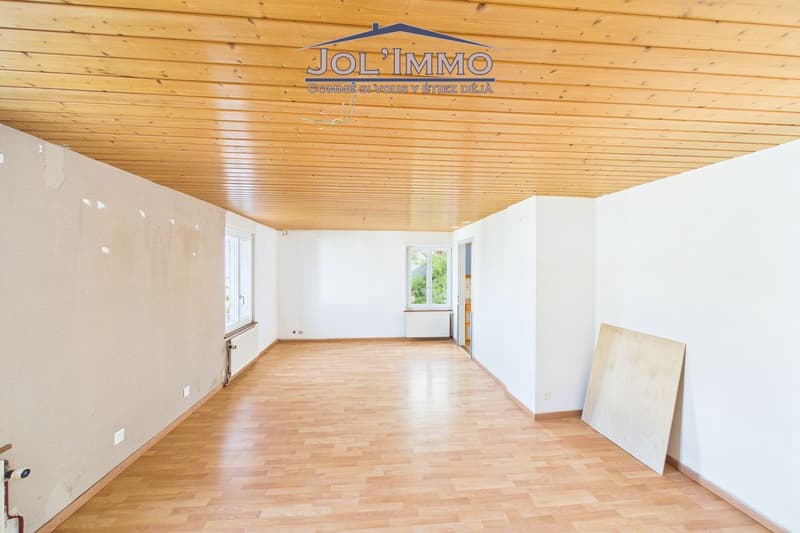 Maison individuelle avec Grand Terrain - Boncourt (9)