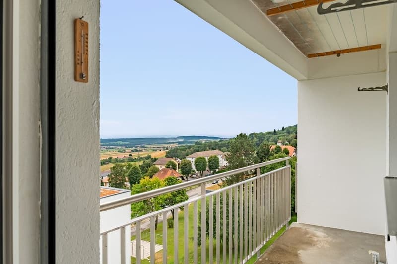 2180_Backbone_balcon.jpg