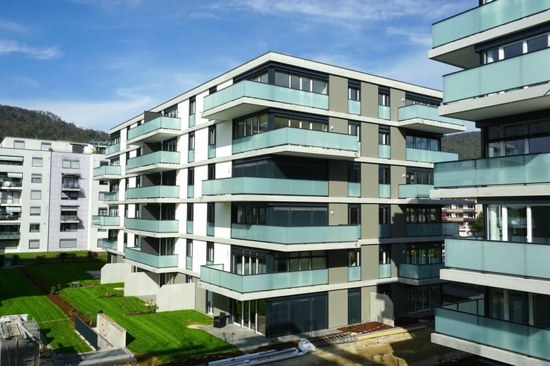 In affitto nelle Residenze "Parc de la Sorne" Delémont (12)